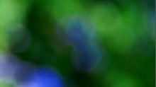 skybots_blurred.png SwapGBR