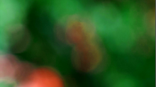 skybots_blurred.png SwapRBG