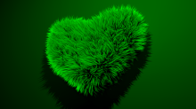 skybots_fur-heart.png GrayscaleGreen