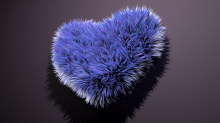 skybots_fur-heart.png SwapBGR