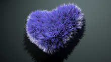 skybots_fur-heart.png SwapGBR