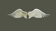 skybots_angel-wings.png