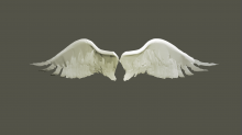 skybots_angel-wings.png 