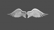 skybots_angel-wings.png Grayscale