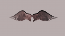 skybots_angel-wings.png InvertBGR