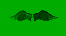 skybots_angel-wings.png InvertBGRGreen