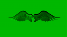 skybots_angel-wings.png InvertGBRGreen