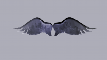 skybots_angel-wings.png InvertGRB