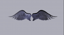 skybots_angel-wings.png InvertRGB