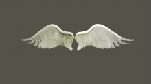 skybots_angel-wings.png SwapGRB