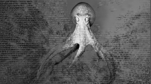 skybots_data-pulpo.png Grayscale