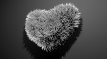 skybots_fur-heart.png Grayscale